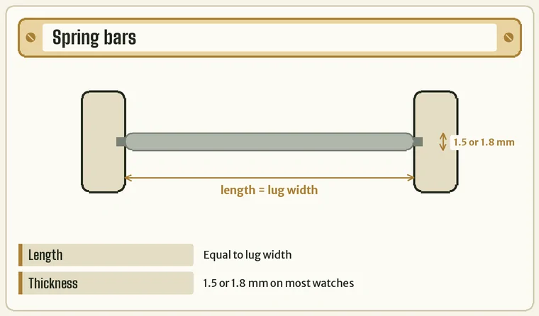 A spring bar between two lugs, with its length matching the lug width and its tube thickness marked