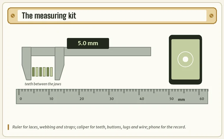 A steel ruler, a digital caliper and a phone, each labelled with the measurements it suits