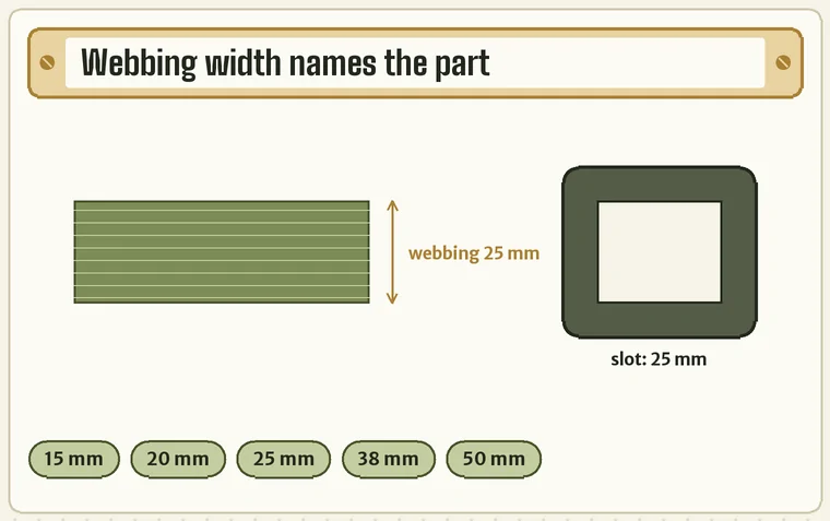 A length of webbing with its width measured across, next to a side-release buckle whose slot is labelled with the same width